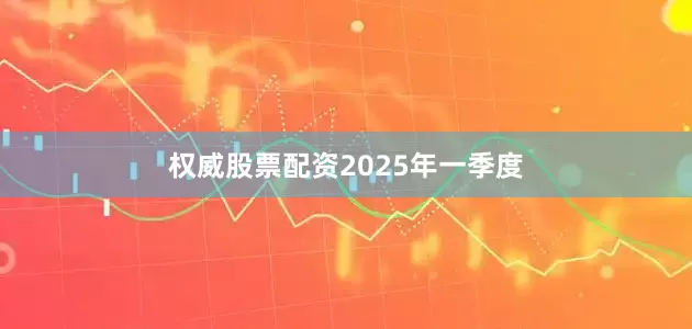 权威股票配资　　2025年一季度