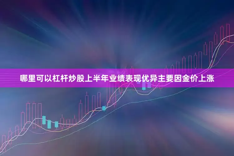 哪里可以杠杆炒股上半年业绩表现优异主要因金价上涨