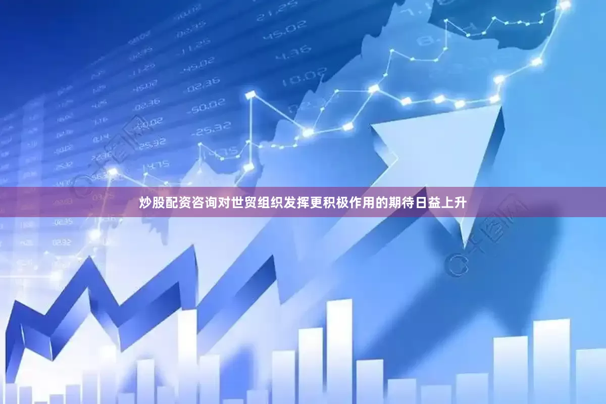 炒股配资咨询对世贸组织发挥更积极作用的期待日益上升